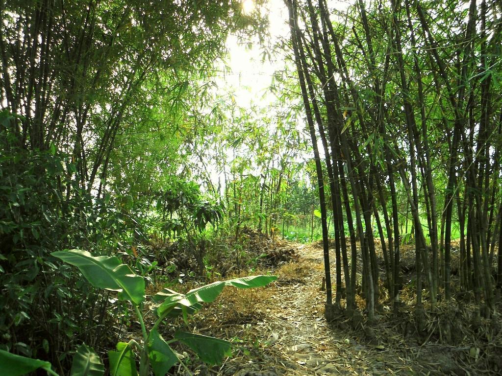 Green Village 1 Can Tho Esterno foto